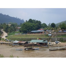 Transfer from Jerantut to National Park, Pahang. 7:00 am